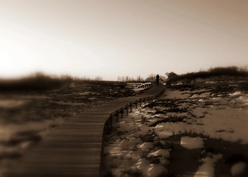 Long Road Home